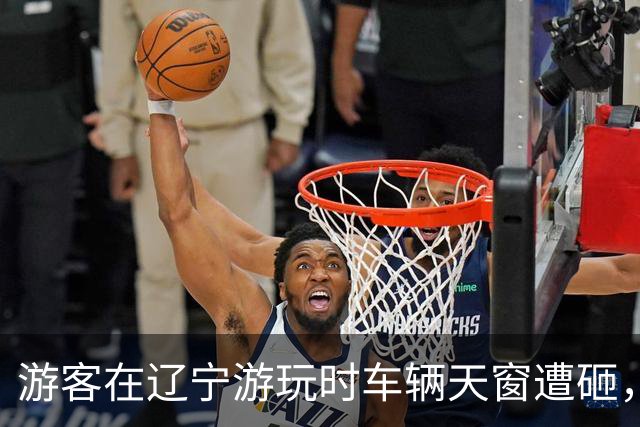 游客在辽宁游玩时车辆天窗遭砸，警方介入调查